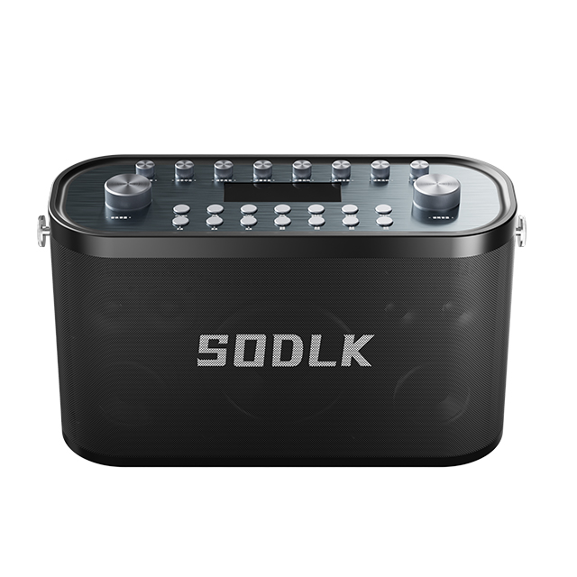 What Makes High Bass Portable Speakers Different from Regular Portable Speakers? | SODLK(图1)